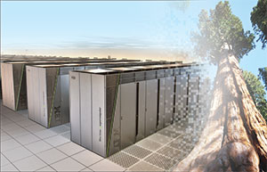 Superimposed image of supercomputer and sequoia tree