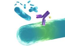 visualization of pathogens and antibodies